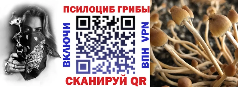 Псилоцибиновые грибы Cubensis где продают наркотики Мышкин